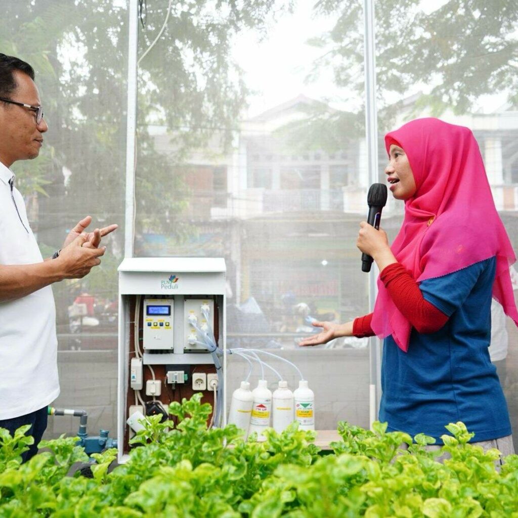 Ubah Tempat Penampungan Sampah Jadi Lahan Pertanian, Kelompok Tani Binaan PLN Raih Omzet Ratusan Juta 