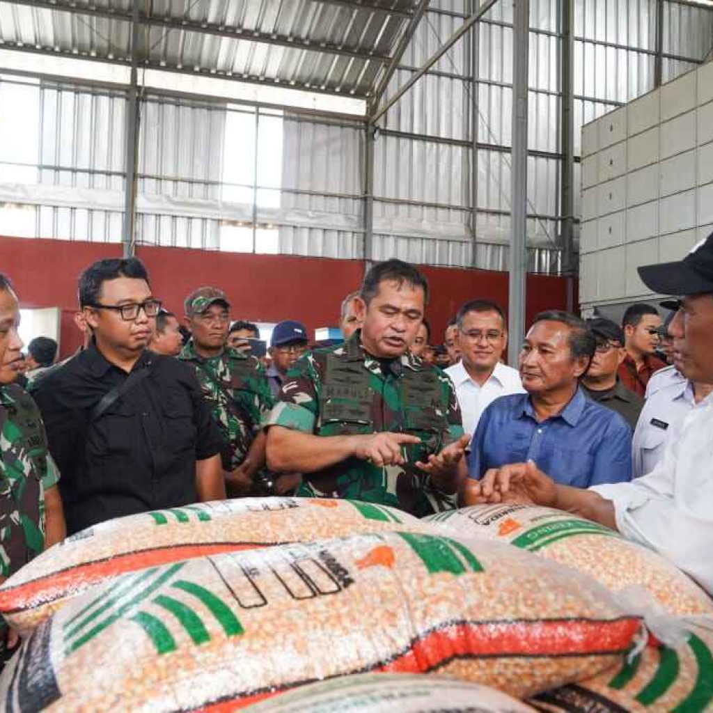 Kostrad Sukses Gelar Panen Raya Jagung dan Singkong: Perkuat Ketahanan Pangan Nasional