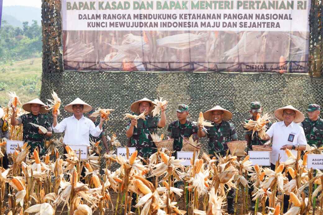 Kostrad Sukses Gelar Panen Raya Jagung dan Singkong: Perkuat Ketahanan Pangan Nasional