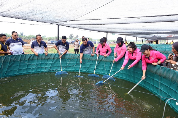 Dukung Ketahanan Pangan, Ditlantas Polda Sumatera Utara Bersama Bhayangkari Gelar Panen Perdana Lele