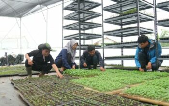 Dukung Penghijauan dan Ketahanan Pangan, TNI AD Gelar Media Tour di Agroforestry Gunung Hejo