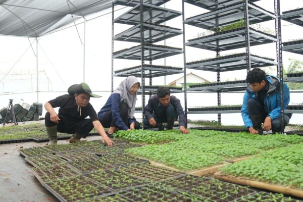 Dukung Penghijauan dan Ketahanan Pangan, TNI AD Gelar Media Tour di Agroforestry Gunung Hejo