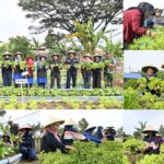 Lanud Husein Sastranegara dan Masyarakat Panen Sayur Mayur untuk Ketahanan Pangan,Wujud Humanis TNI AU Ampuh