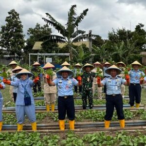Lanud Husein Sastranegara Panen Sayur untuk Dapur SPPG guna Mendukung Pemenuhuan Gizi yang Ampuh