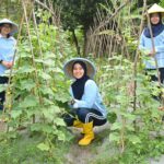 Dukung Ketahanan Pangan,Lanud Husein Sastranegara Optimalkan Lahan di Cimahi
