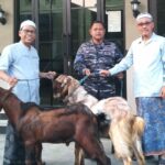 IKHROM Demak Gelar Penyembelihan Hewan Kurban, 536 Bungkus Daging Didistribusikan ke Warga