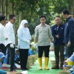 Panen Raya Kopi Ijen, Wapres Dukung Peningkatan Produktivitas, Hilirisasi dan Branding Kopi Indonesia