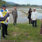 Menteri PU Kunjungi Pulau Buton, Targetkan Jadi Sasaran Utama Inpres Irigasi