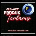 Solusi Tepat Untuk Jaringan Wi-fi Anda, PLB-NET Hadir di Kecamatan Cirinten