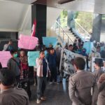 Kecewa Kader PKS Lindungi Peternak Babi, AMB Gelar Demo 