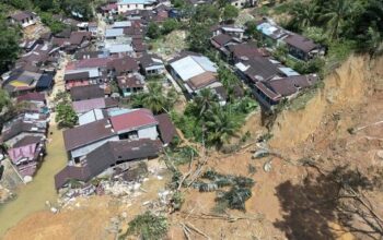 Kerusakan Hutan Diduga Picu Bencana Sumatera